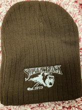 Load image into Gallery viewer, Silver Back Beanie