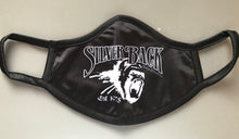 Load image into Gallery viewer, Silver Back Face Masks