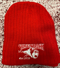 Load image into Gallery viewer, Silver Back Beanie