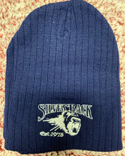 Load image into Gallery viewer, Silver Back Beanie
